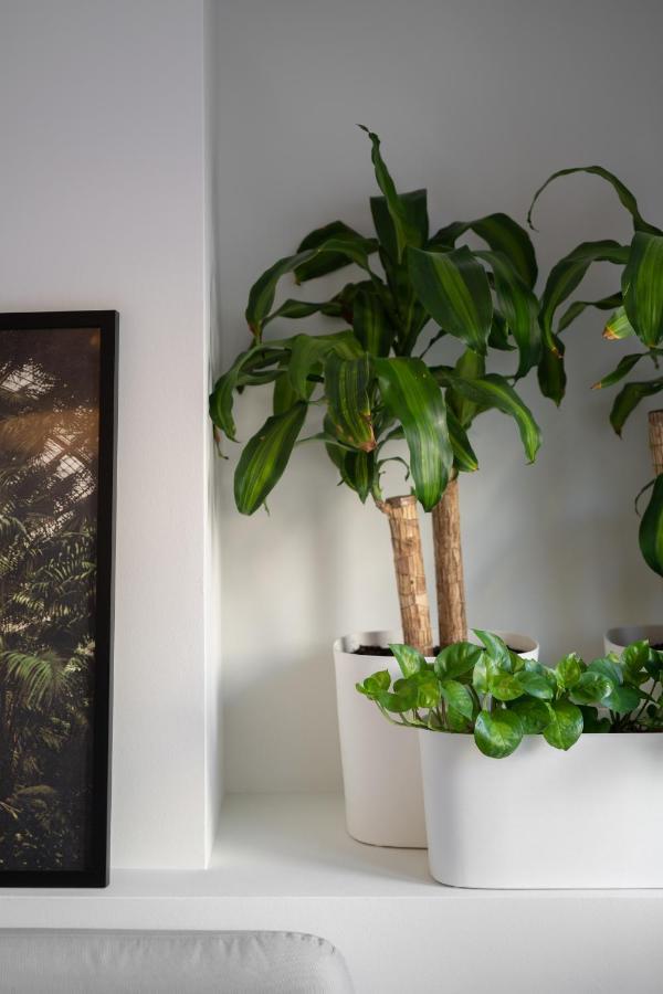 Apartment The Nest Athen